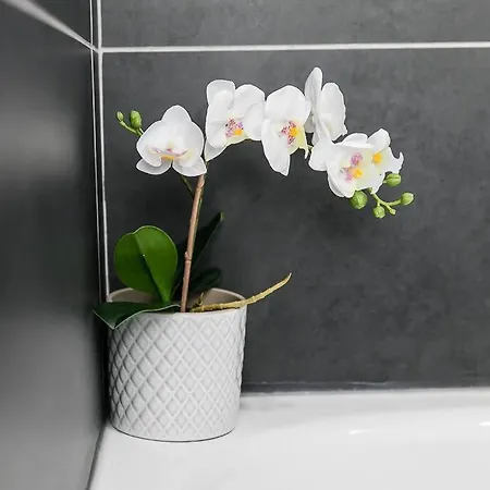 Apartment Spacious 2 Bedroom Penthouse *