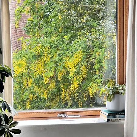 Beautiful Private In Levenshulme *