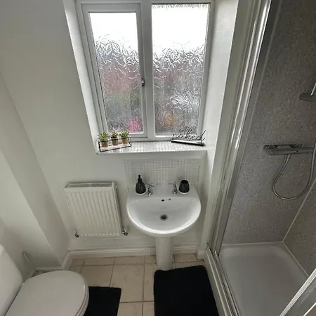 Zenith * 曼彻斯特