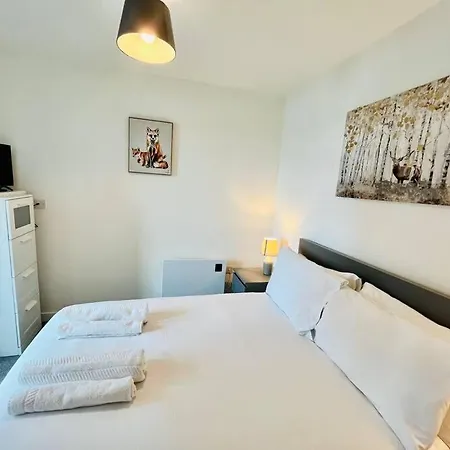 Charming One Bedroom In Old Trafford Apartment
