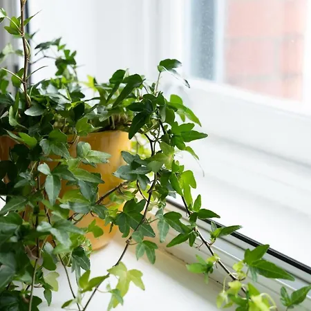 High Street Town House Lejlighedshotel 4*