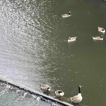 Cityfront Modern Apt near Centre/etihad, Free Parking * Manchester