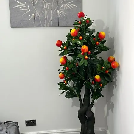 2 Bedroom Flat Close To City, Stadium And Coop Arena *