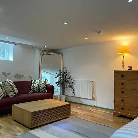 Spacious Basement Studio Apartment