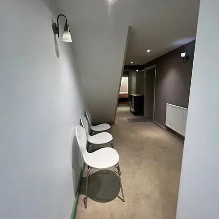 Spacious Basement Studio