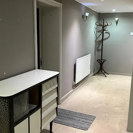 Spacious Basement Studio