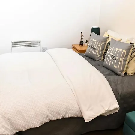 ホームステイ In A Flat *
