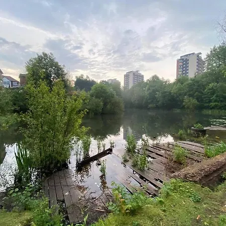 Manchester's View
