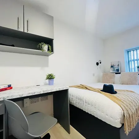 Brand New Modern Studio In