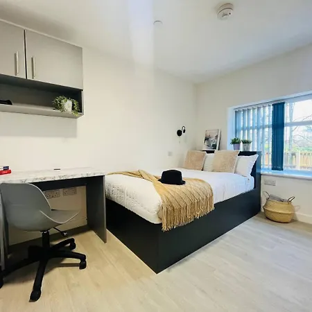 Apartment Brand New Modern Studio In *