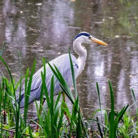 Chorlton Stylish & Roof Terrace *