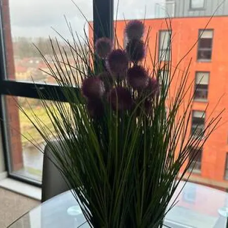 Large 1 Bed In Sleeps 2 Manchester