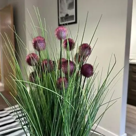 Διαμέρισμα Cosy 1 Bed Sleeps 2 Μάντσεστερ