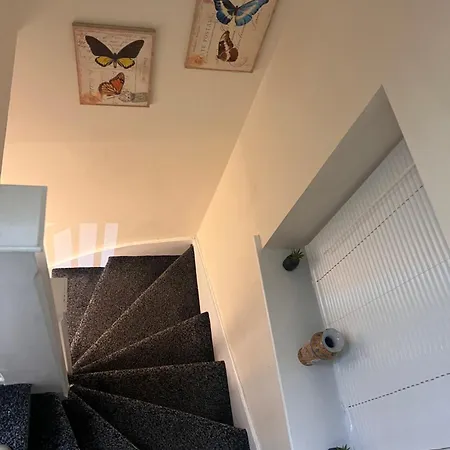 New Getaway - Free Gated Parking With Fob Apartment