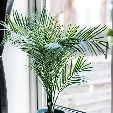 The Heart - Cosy 3 Bedroom House With Double Driveway And Garden In 別荘