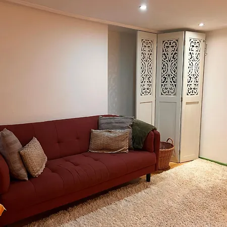 Apartment Spacious Basement Studio