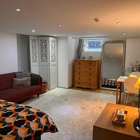 Spacious Basement Studio
