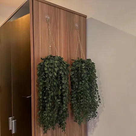 Entire 2br Flat In Centre