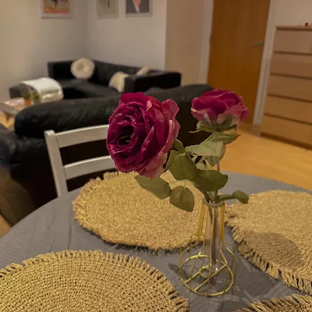 Entire 2br Flat In City Centre Apartment
