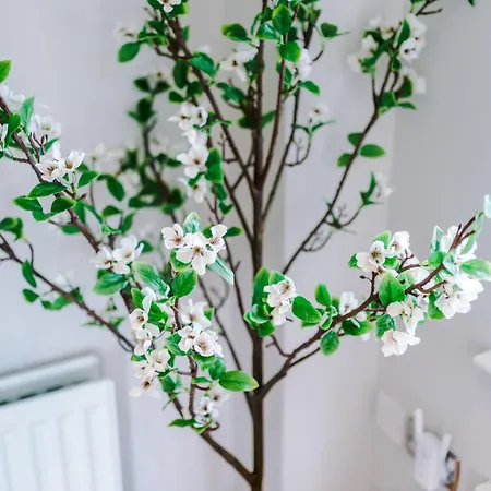 Cravenwood House 別荘