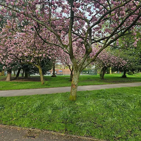 Alexandra Park Apartment Manchester