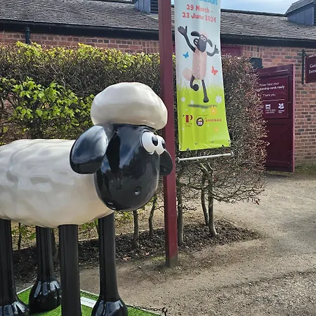 Shaun The Sheep مانشستر