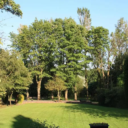 Birch