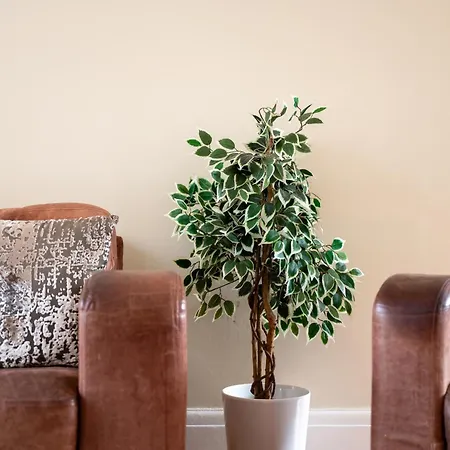 Fantastic, Modern 3 Bedroom House بيت للعطل *