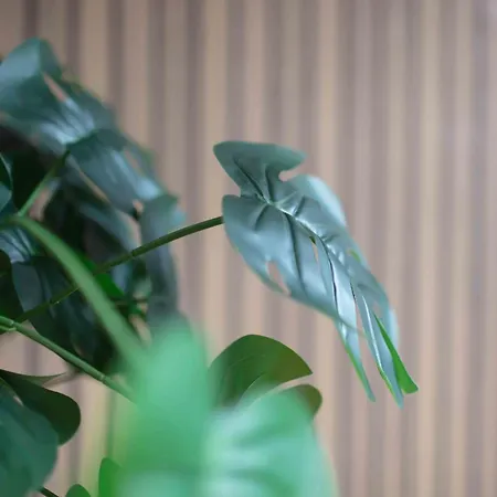 بيت للعطل Centre House, Perfect For Long Stays! Parking, Wifi, Outdoor Space مانشستر