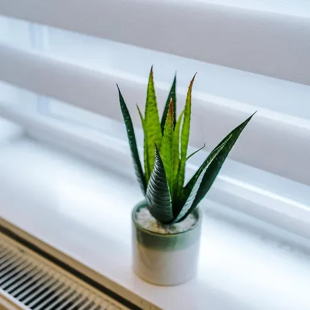 4 Bedroom Victorian House Hébergement de vacances