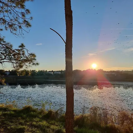 Stunning Florida *