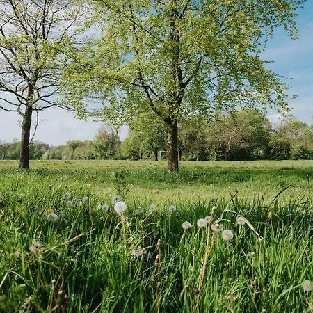 Vakantiehuis Spacious 3br - Pool Table - Games - Sleeps 9 *