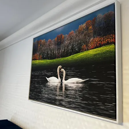 Luxury Spacious Modern Near Centre