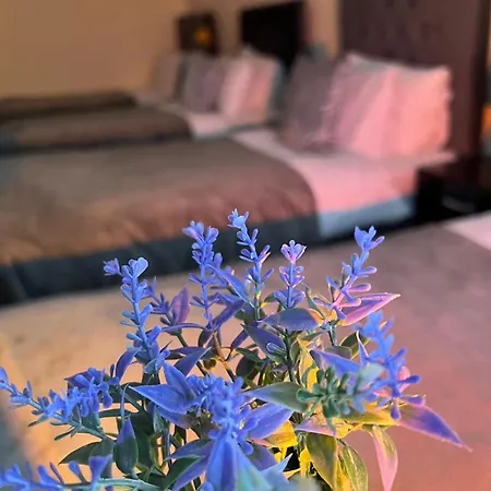 Luxury Апартаменты *