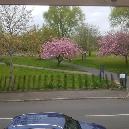 A Lovely And Comfortable *