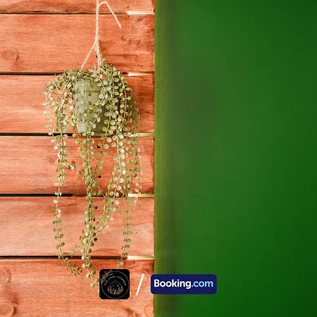 3-bed House, Free Parking & Wifi *