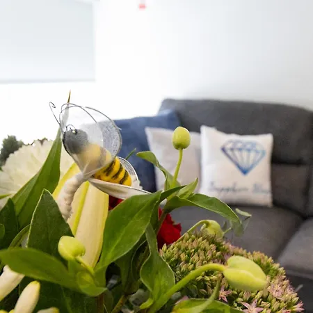 Apartamento Cute, Comfortable & Classy *