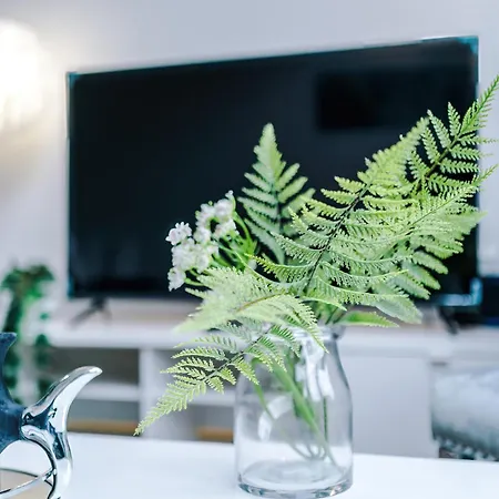 The Clover Townhouse * Manchester