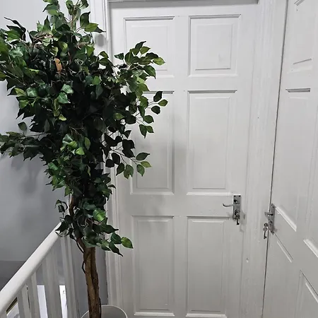 Worem House-2 For 1 Manchester