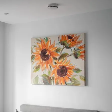 Modern Chique