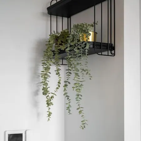 Modern * מנצ'סטר