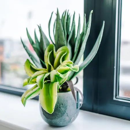 30 Percent Offer On Monthly Near Old Trafford Sleeps 5 Mánchester