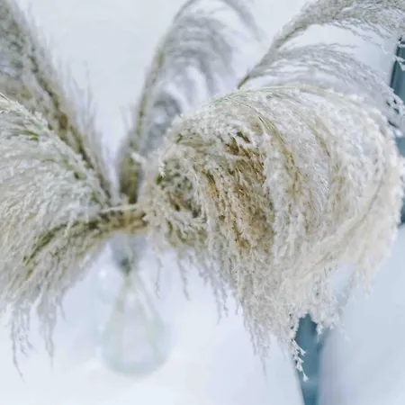 Comfy Four Bedroom House With Parking Ferienhaus *