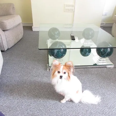 Perfect House For Professionals Manchester