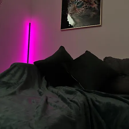 Cosy House Near Etihad And Coop Live Manchester