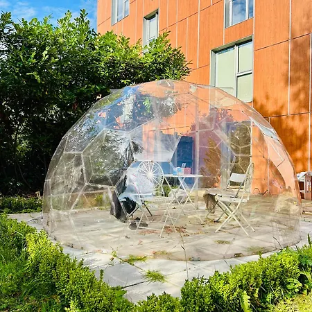 Private Garden With Geodome * Manchester