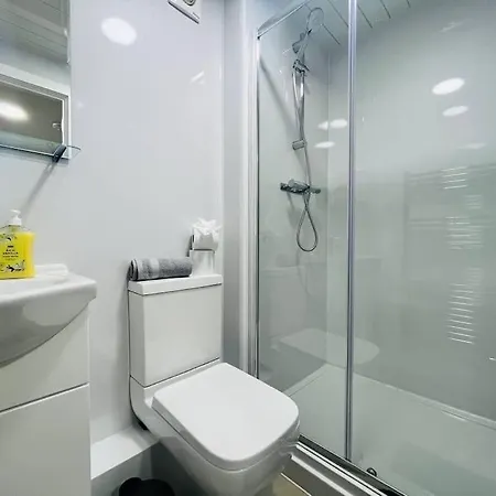 Apartment Sophisticated Escape, Walk To Stadium Museum Manchester