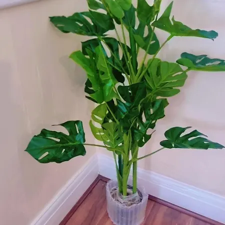 Mancunian Pride * Manchester