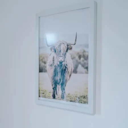 Apartment Sleeps 7, Stunning Home, Free Parking, Perfect For Groups, Long Term Disc