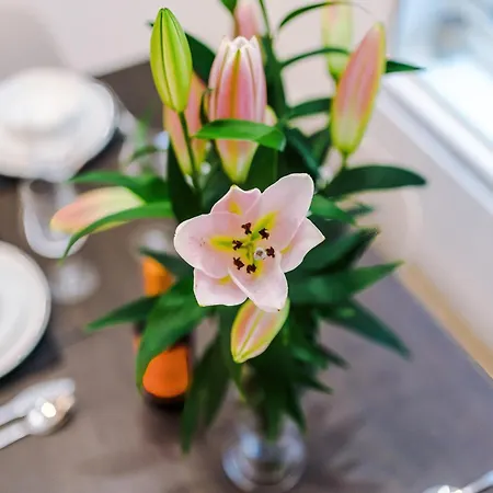 King Street Collection Villa